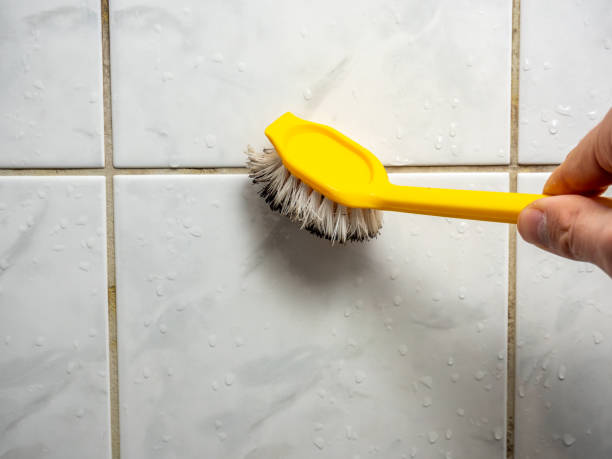 Best Mold Testing  in Hawkins, TX