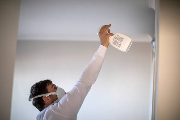 Best Local Mold Removal Service  in Hawkins, TX
