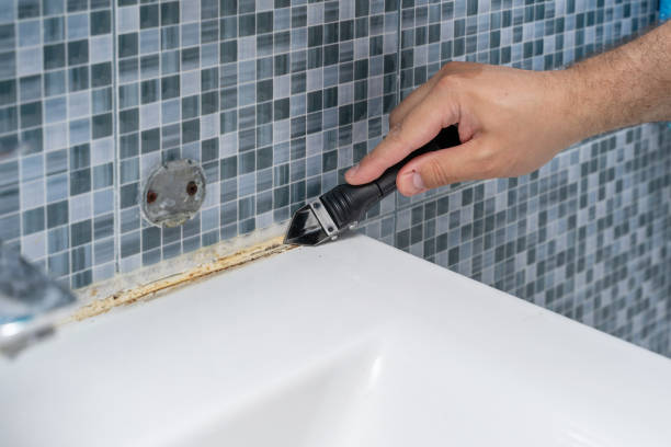 Best Attic Mold Removal  in Hawkins, TX