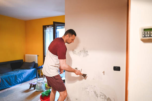 Best Mold Cleaning Services  in Hawkins, TX